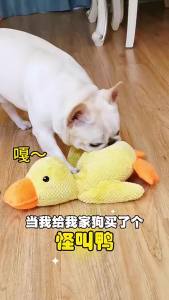 Pet Chew and Play Toy Plush Texture Sound Making Design Duck Shape Chew-Resistant Use for Dogs for Home Care and Daily Use Suitable for Storage Cleaning or Routine Setup pet chew chew play