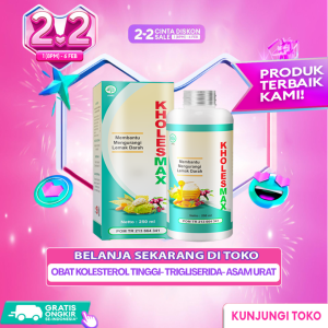 KHOLESMAX Obat Penurun Kolesterol Penurun Lemak Darah Gula Darah atasi VERTIGO TRIGLISERIDA JANTUNG STROKE