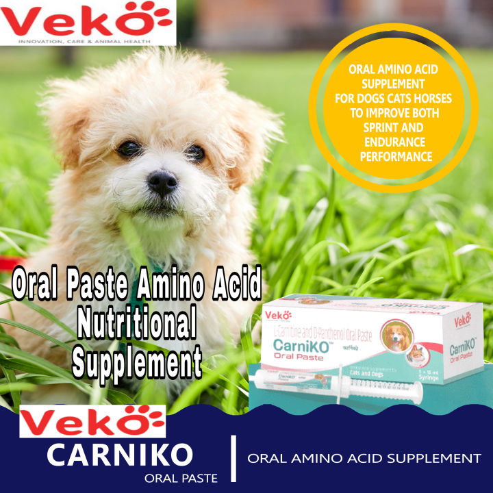 l-carnitine paste for greyhounds Veko Carniko Amino Acid Supplement Oral Dogs Cats Horses L- Carnitine And D-Panthenol Paste Easy To Administer Oral Paste Improves Performance And Endurance - Lazada myopathies associated with a Targeting Oxidative Stress and Size:10mL* 10 vials suplementos-mexico