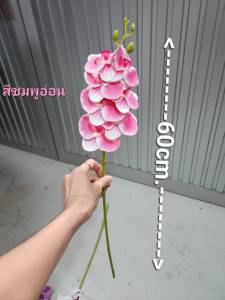 ส่งเร็ว ดอกกล้วยไม้ประดิษฐ์ ก้านยาวรวมดอก60cm และ ก้านยาว95cm ดอกทำจากยาง เกรดดีเยี่ยม สวยเหมือนจริงมาก