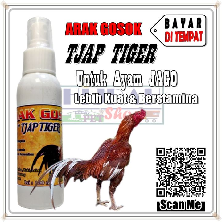 Obat Ayam Obat Gosok Ayam Arak Gosok Ayam Arak Ayam Jago Dan Ayam