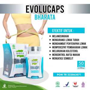 Evolucaps Bharata Obat Herbal Ampuh Melangsingkan Badan Dan Mengecilkan Perut Buncit Tanpa Olahraga Resmi BPOM