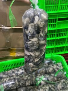 Hàu sữa tách vỏ tươi cấp đông bịch 1kg (hoả tốc 2h tphcm)