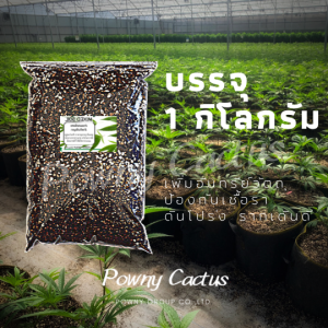 ดินสมุนไพร ดินอารมณ์ดี ดินอารมดี ดินพร้อมปลูก ดินปลูกสมุนไพร ปลอดสารเคมี ดินออแกร์นิค