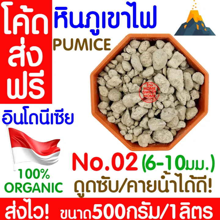 3 อันดับ หินภูเขาไฟสำหรับปลูกต้นไม้ เพิ่มความโปร่งดิน แร่ธาตุครบ จบทุกปัญหา! อัปเดตปี 2025