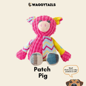 [SG] Pet Squeaky Toy    Plush Rope Dog Toy    Tug Chew Fetch