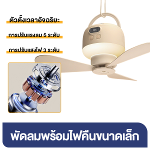 ใบพัด 3 ใบ โคมไฟพัดลมเพดาน พัดลมเพดาน พัดลมเพดานมีไฟ ไฟพัดลมเพดาน พัดลม โคมไฟ แขวน พัดลมเพดานพร้อมไฟ สเปรย์ไล่ยุงพร้อมอโรม่าบำบัดในตัว