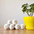 6Pcs Bola Pengering Wool Panas Reusable Softener Laundry Laundry Ball Bola Cuci Rumah Bola Pengering Wool Aksesoris Mesin Cuci. 