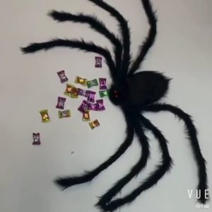 Halloween Spider Backpack Spider Pocket Spider Masquerade Props Spider Costume Adult Accessories Big Spider Decoration