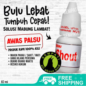 SEMPATI Bird Shout Om Kicau Obat Burung Sakit Macet Bunyi Pasca Mabung Kalah Mental Turun Tangkringan VSHOUOK