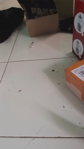 Buyer review video 6