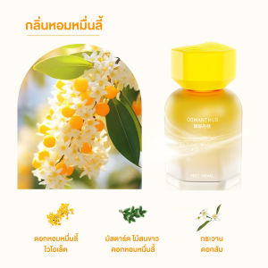 น้ําหอมปรับอากาศรถยนต์ น้ำหอมในรถ ความจุขนาดใหญ่น้ำหอมรถยนต์ ปราศจากแอลกอฮอล์ กลิ่นหอมอ่อนๆ น้ำหอมประจำห้อง