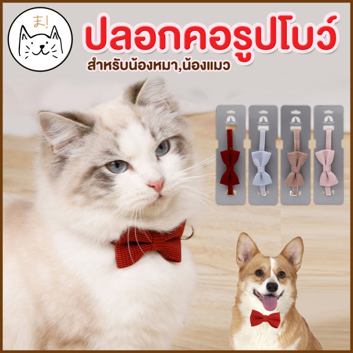KUMA ปลอกคอแมวรูปโบว์ หลากสี สำหรับสัตว์เลี้ยง