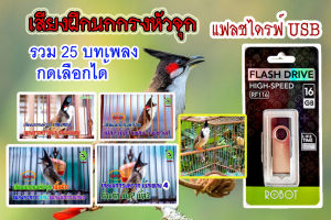 แฟลชไดร์ฟเสียงฝึกนกกรงหัวจุก สำนวนพิเศษเพลงลากหวายขั้นเทพ มีให้เลือก 25 บทเพลง