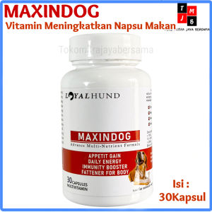 Maxindog Mengembalikan Nafsu Makan Anjing Akibat sakit & Lesu Vitamin Anjing