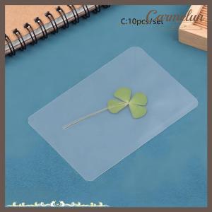 [Carmelun] 1 5 10 tấm bưu thiếp cỏ ba lá may mắn thiệp chúc mừng cỏ tự nhiên trong suốt để đánh dấu