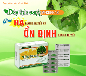 Dây thìa canh Mekophar Hộp 40 viên - Ổn định đường huyết - giảm tiểu đường - thực phẩm hạ tiểu đường - đường huyết - Hạn dùng 2028 - Mekophar