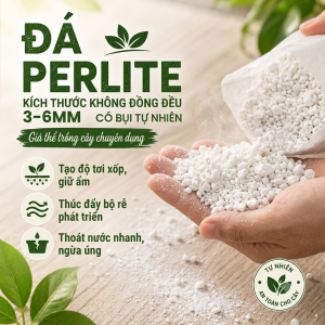 Đá Perlite Trồng Cây 3-6mm (Chia nhỏ 100g) - Giúp Đất Tơi Xốp Thoát Nước Tốt