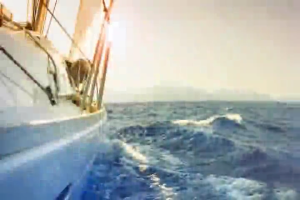 Kẹp thử mở 10mm với ổ cắm 4mm đuôi Thiết bị kiểm tra điện để kiểm tra điện chính xác và kết nối ổn định