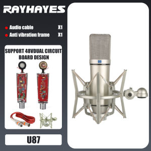 RAYHAYES Condenser Microphone All-metal Material Strong Compatibility for Studio Singer Videoke Recording