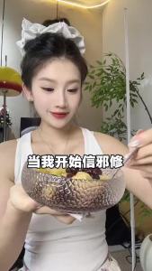 Longli Plum Angelica and Black Bean Snacks  Instant Angelica Black Bean Snacks