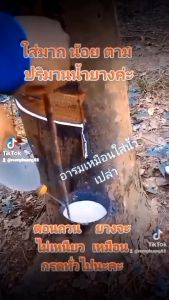 3 กิโล คุณสมบัติของ เกล็ดหยอดยาง ก้อนถ้วย ตราผึ้งน้อย 5 กิโล ผสมน้ำ 15-18 ลิตร