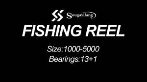 Sougayilang High Speed 13+1 BB Fishing Reel Spinning Reel Carp Fishing Reels with Spare Spool 100M Fishing Line for Fishing Tackle Tools