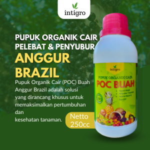 Pupuk Anggur Brazil / Pupuk Buah Jaboticaba / Obat Penyubur Pelebat Buah Anggur Brazil Jaboticaba