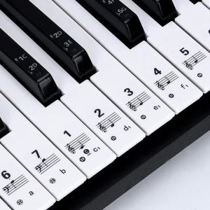 Piano Sticker Keyboard Piano Sticker Transparent 49 61 Key Electronic Keyboard 88 Key Piano Stave