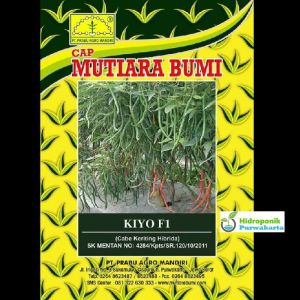 BENIH CABE CABAI KERITING HIBRIDA KIYO F1 10 GRAM CAP MUTIARA BUMI