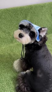 Denim Dog Hat with Ear Holes Summer Adjustable Pet Fisherman Cap Cat Sun Hat Puppy Outdoor Headwear