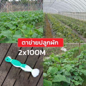 อวนล้อมไก่ ตาข่ายล้อมไก่ ตาข่าย-อวน-สีเขียวขี้ม้า ขนาดสูง1.5/1.7/2/2.5เมตร ยาว15-17เมตร ตาข่ายกันนก ตาข่ายกั้นนก ตาข่ายล้อมไก่ กรงไก่
