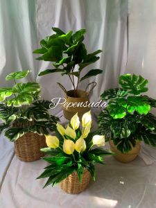 ถูกสุดๆ ราคาพิเศษ พร้อมส่งยกเซ็ต สูง 70 cmต้นไม้มงคล ต้นไม้ปลอมตกแต่งบ้าน+ตะกร้าหวาย/สานครบชุด