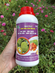 [TRUNG THIEN THINH] Phân bón lá LỚN TRÁI MÍT chắc trái nặng ký nở gai đều hạn chế sơ đen chai 500ml