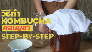 Organic Kombucha Scoby 500g +กลุ่มซัพพอร์ต | หัวเชื้อคอมบูชา ออร์แกนิค และเข้าร่วมกรุ๊ป community ตอบถามปัญหาการหมัก | Nature Kombucha สก็อบี้ สก็อบี้ ค็อตตี้ สก็อบี้ค็อตตี้ - Lazada