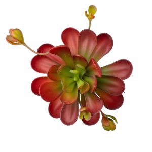 ZENGD Fleshy Artificial Succulent Plant Lifelike Real Touch Simulation Bonsai Plant Decorative Plastic Fake Cactus Home Office Decor