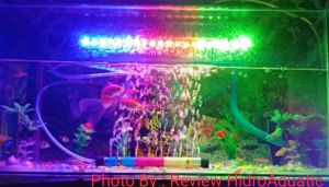 Lampu Aquarium  Celup dalam air / Lampu celup aquarium / Lampu led aquarium  Lampu akuarium murah