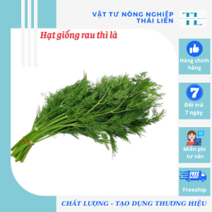 Hạt Giống Rau Thì Là Bốn Mùa Chịu Nhiệt (10 Gr) - Hạt Giống Thuận Điền