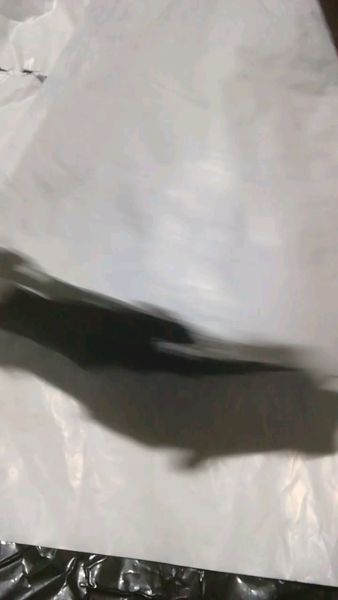 Buyer review video 6