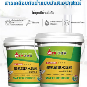 สารปกป้องบ้าน สารเคลือบกันน้ำ กันรั่วโพลียูรีเทนซ่อมแซมหลังคา ผนังภายนอก