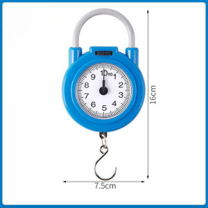 10kg Portable Hanging Scale High Precision Home Scale Outdoor Fishing Weighing Pocket Scale Luggages Scale