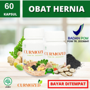 Curmozed 60 Kapsul: Obat Herbal Ampuh Hernia BPOM