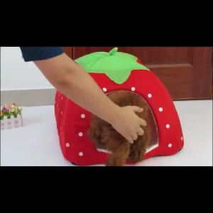 Pet Teepee Tent Cat Bed Dog House Cute Strawberry Design SmallNest