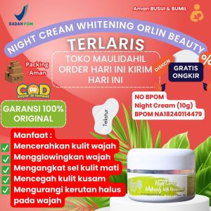 Orlin Beauty Skincare Night Cream Glowing Brightening Platinum 10 Gram Krim Malam Pencerah Kulit Wajah BPOM