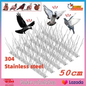 หนามกันนก กันนกเกาะ ยาวเส้นละ 50 ซม.10PCS ที่ดักนกพิราบ กันนกพิราบ หนามไล่นกพิราบ ที่กันนกพิราบ anti bird repeller ที่ไล่นกพิราบ (จัดส่งจากประเทศไทย)