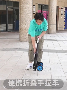 Space Saving Foldaway Utility Cart Easy to Store and Convenient Pull Wagon with Rubber Tires for Home and Travel Needs