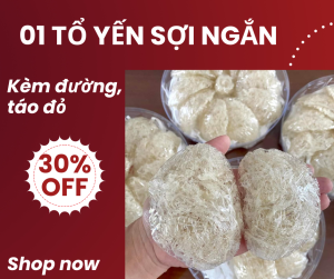 01 Tổ Yến Sợi Ngắn Ngon Chưng Được 10 -15 Hủ Yến