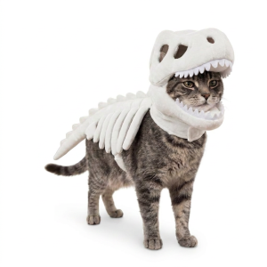 Áo Hoodie Xương Khủng Long 3D Phát Sáng Trong Bóng Tối Cho Thú Cưng - DAWEIF