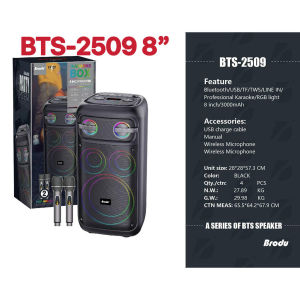 Portable BTS-2510 10inch Party Speaker Karaoke Wireless Mics For Home Outdoor