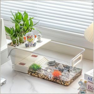 Small ecological aquascape turtle tank desktop aquarium